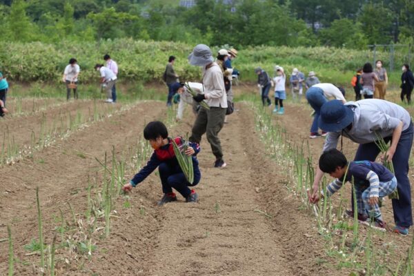 【農泊・アスパラ収穫体験】レポート！